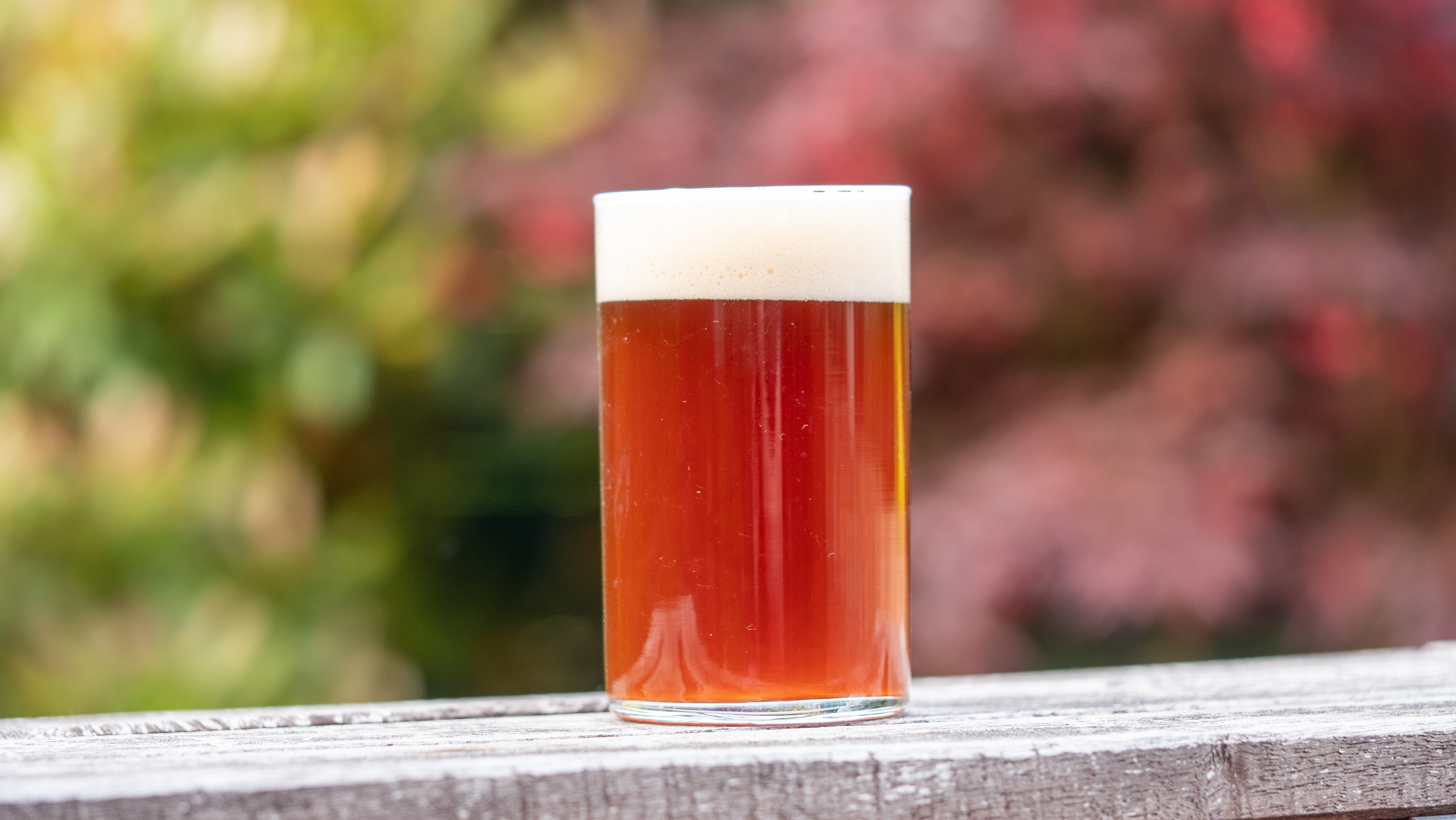 Probiert: Altbier, der nächste Versuch