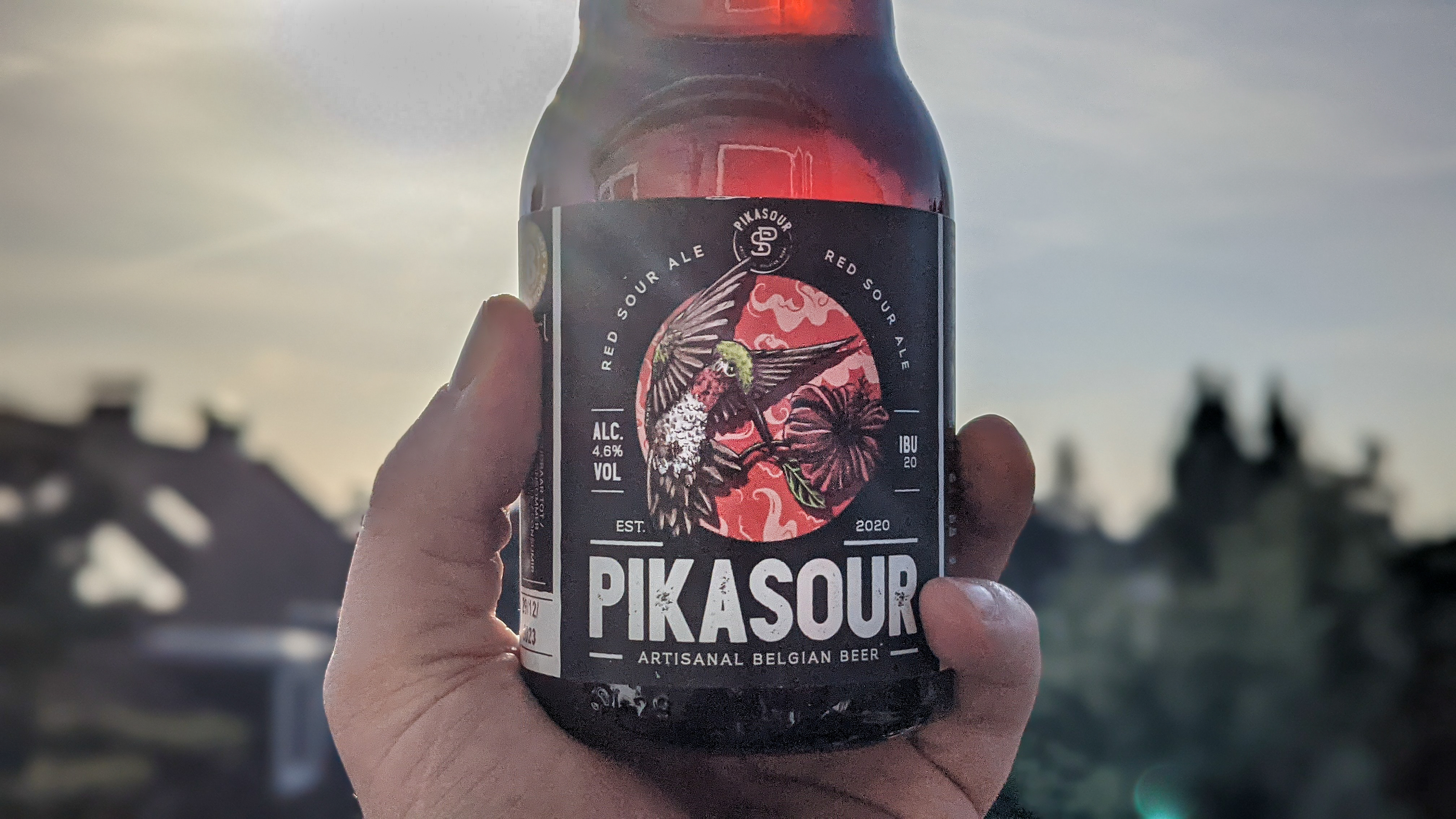 Das Pikasour: Ein Sour mit Hibiskusblüten