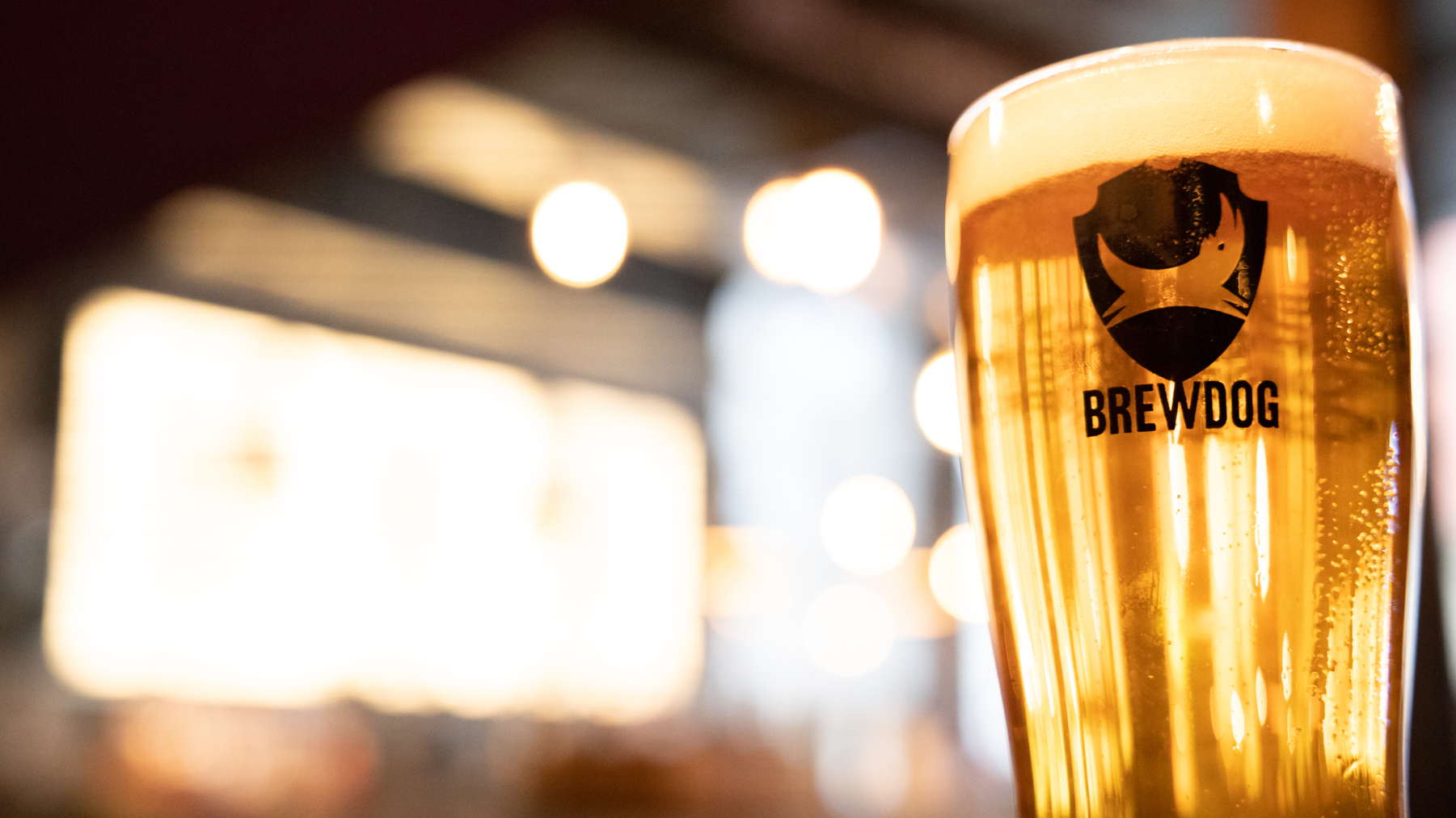 Equity for Punks Tomorrow