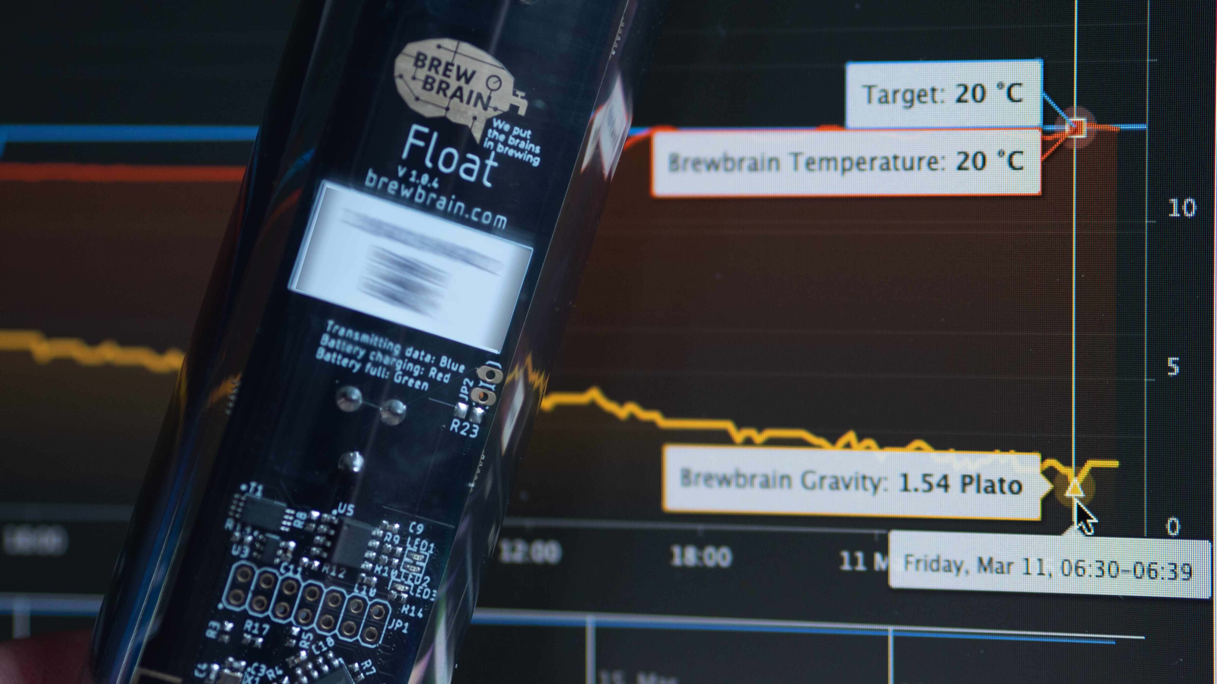 Mit dem Brewbrain der Hefe zuschauen