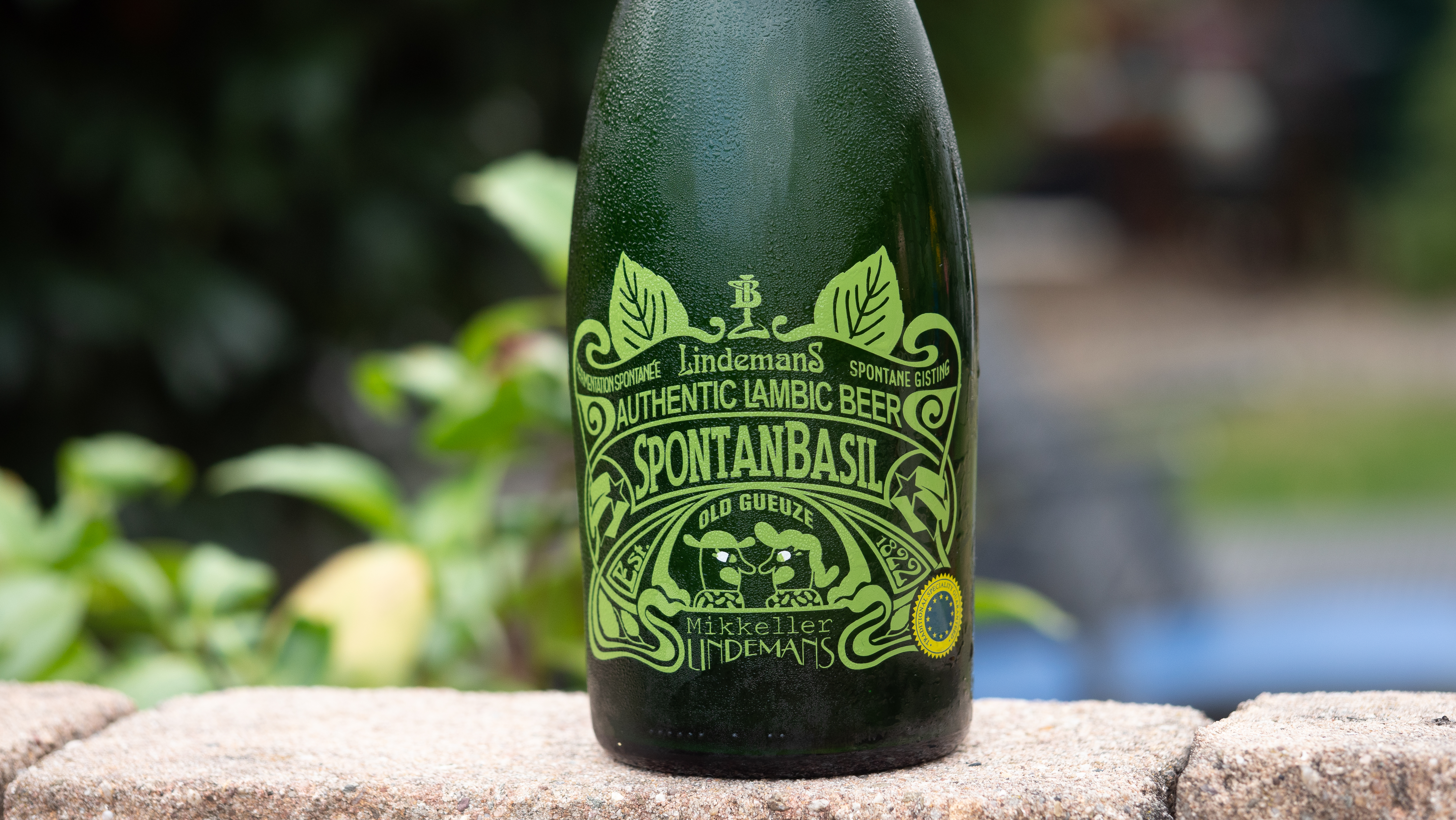 SpontanBasil von Mikkeller und Lindemans